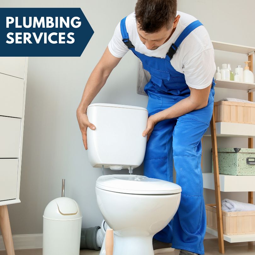 Plumbing Company in Portal, GA
